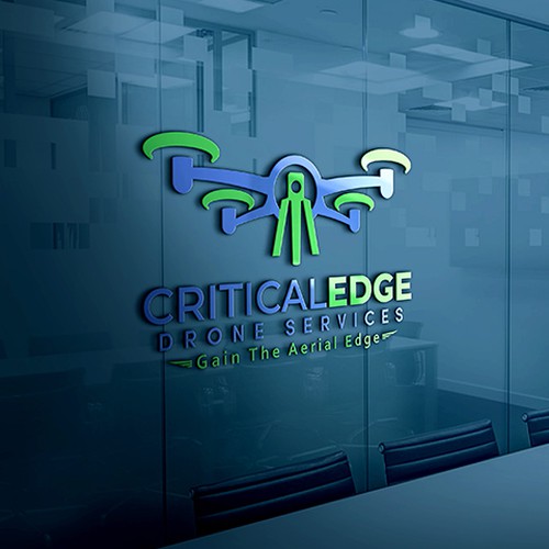 We need a logo design for new Drone inspection and survey company Design by Creative Dope