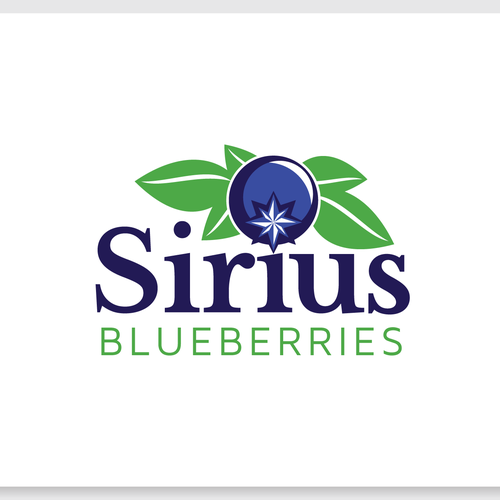 Create Logo For A Maine Blueberry Company 