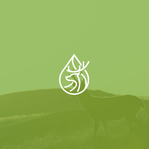 Sustain Alaska and the Yukon