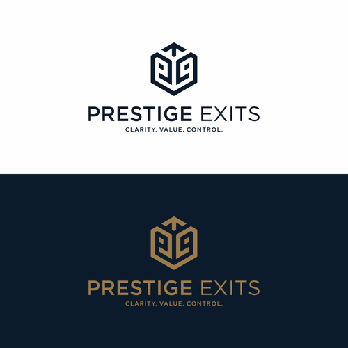 Logo & Brand for Boutique Advisory Design by Kuroi yuki