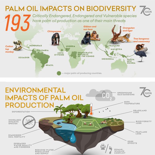  Infographic  telling the story of palm  oil  impacts on 
