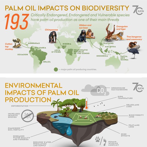 Infographic telling the story of palm oil impacts on Infographic telling the story of palm oil impacts on