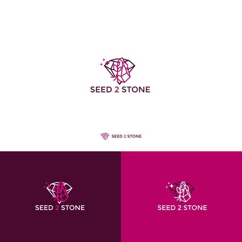 Design di S2S new LOGO di chilibrand
