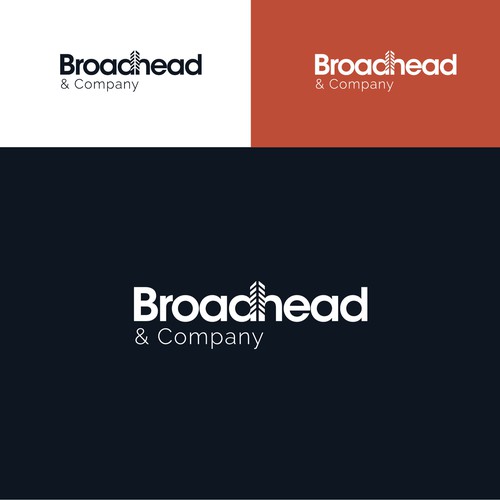 Designs Sophisticated Real Estate Development Company That Builds