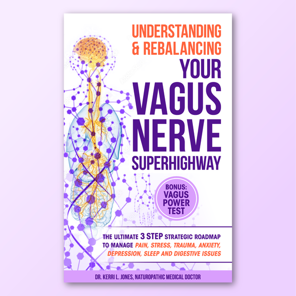 Understanding and Rebalancing Your Vagus Nerve Superhighway book cover
