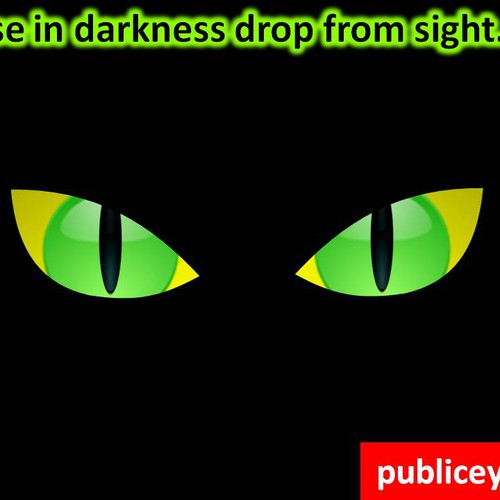 Other design contest entry by fbaer_1966