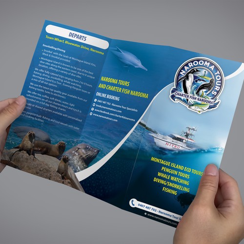 Brochure for Narooma Tours and Charter Fish Narooma | Brochure contest