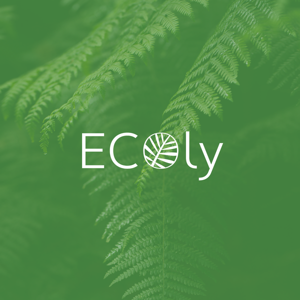 Logo design for Ecoly