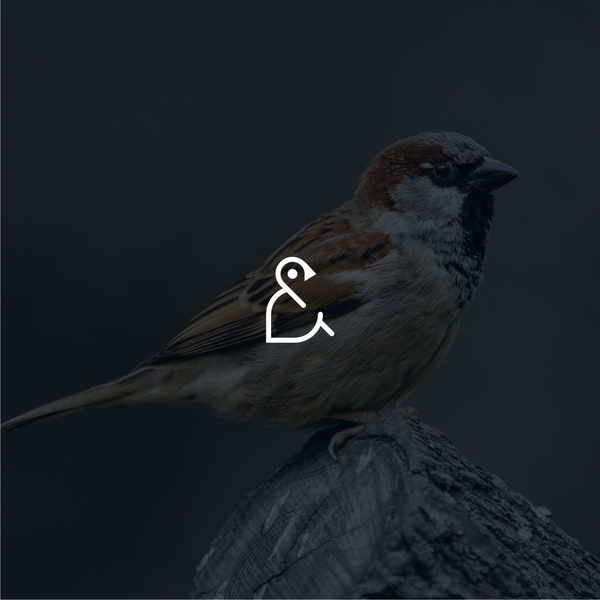 Design by [El]manto titled "Dum Spero"