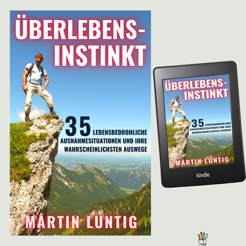 Book cover contest entry by IndieGraphics