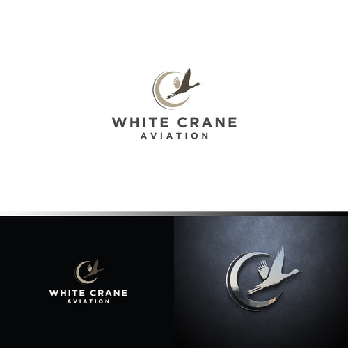 Logo for a Safe and Modern Aircraft rental company Design by ybur10