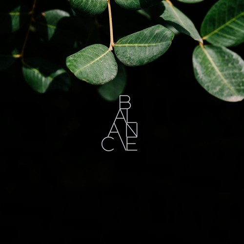 Balance logo Design by WebSky☁️